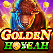 Premium Interface 38h